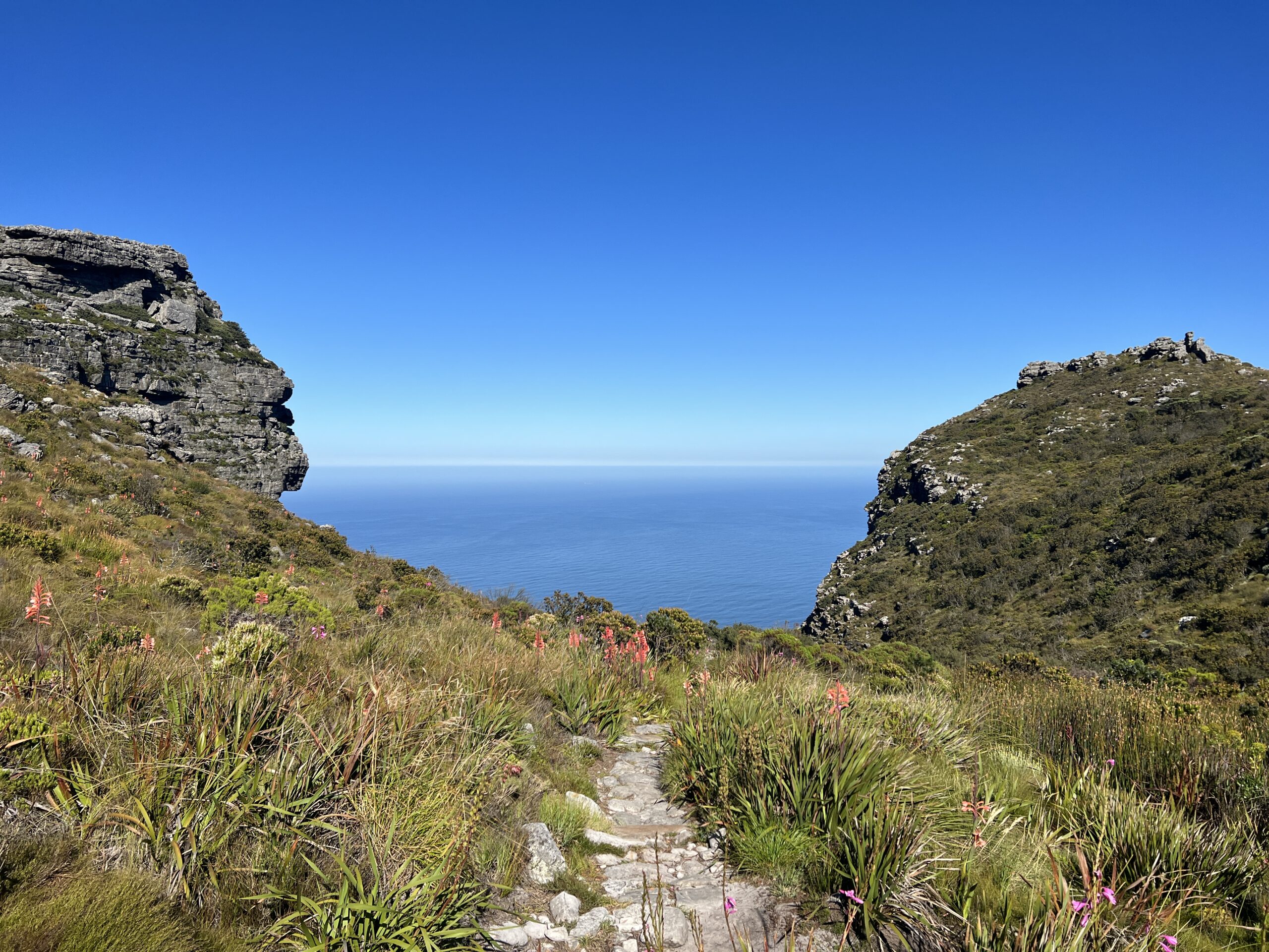 the view on the top of Kasteelspoort hike in Cape Town - back via Woody Ravine